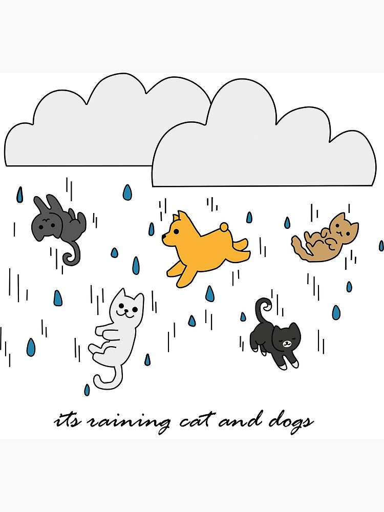 expressions idiomatiques